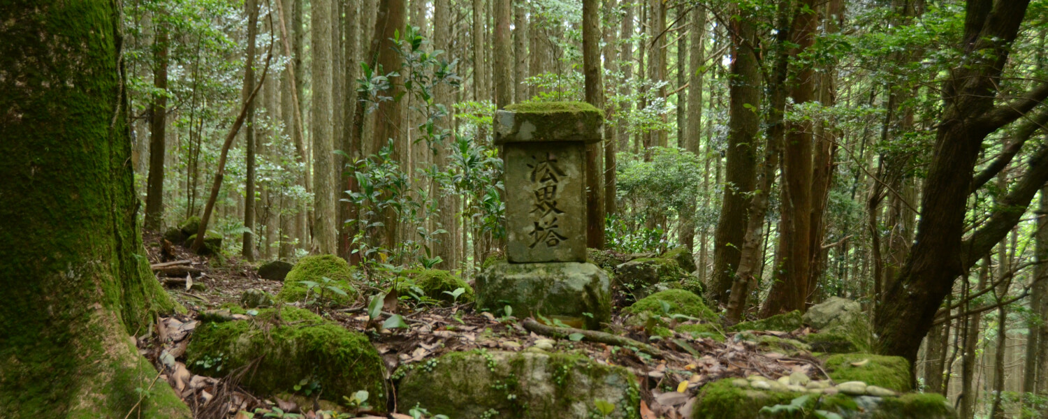 風伝峠（熊野古道伊勢路）