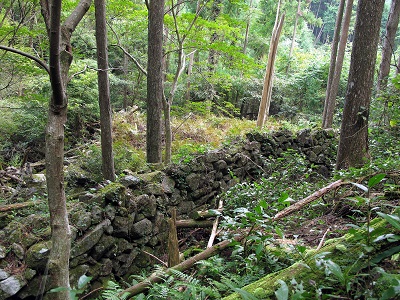 农田遗迹和防护墙